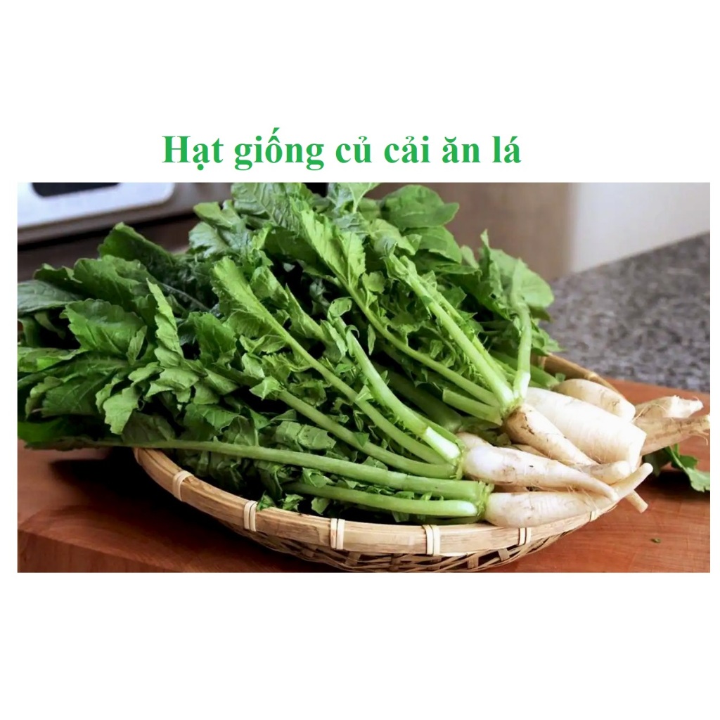 Hạt giống củ cải ăn lá 20gr (ăn non hoặc làm cải muối dưa)