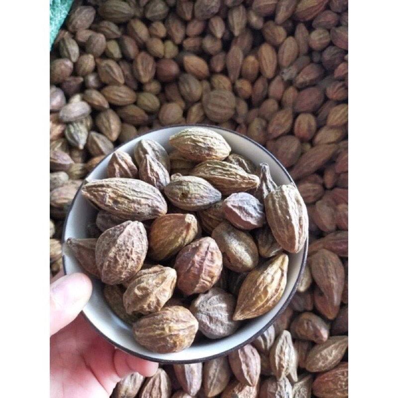 quả kha tử 500g - 1kg