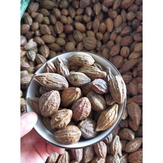 Quả kha tử 500g - 1kg