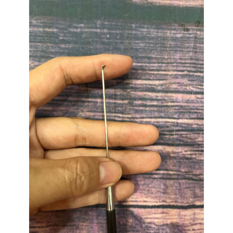 Cây móc ráy tai cán đen