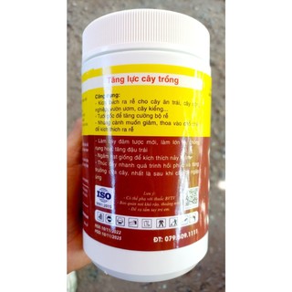 RA RỄ CỰC MẠNH HŨ 450GR