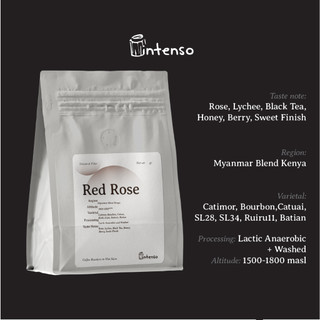 Cà Phê Đặc Sản - Red Rose - Intenso Coffee Roasters