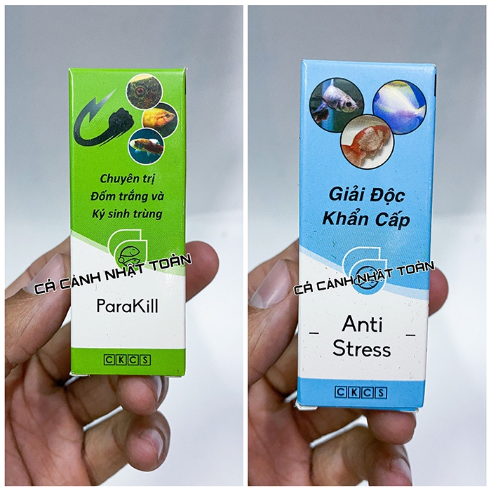 COMBO PARAKILL + ANTISTRESS CKCS CHO CÁ CẢNH