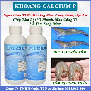 Khoáng Ăn Cho Tôm Cá Calcium P Khoáng Cứng Vỏ Tôm Nhanh Lột Vỏ Cá Bóng Vảy Dày Thân Lên Màu Đẹp, Chai 1000ml