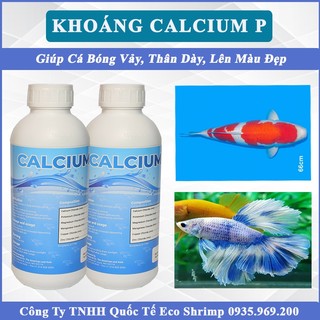Khoáng Cho Tôm, Tép, Cá Cảnh Calcium P, Bổ Sung Thức Ăn Làm Cứng Vỏ Tôm, Cá Bóng Vảy, Ngừa Đục Cơ, Cong Thân 1000ml