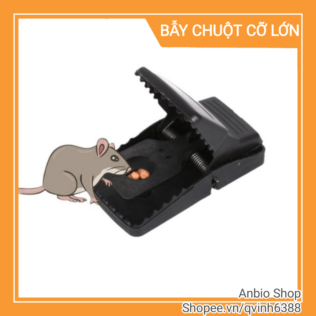 Bẫy chuột lò xo siêu nhạy cỡ lớn bắt được cả chuột cống