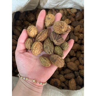 Quả kha tử 100g - 200g - 300g