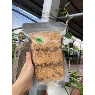 Cơm cháy gạo lứt chà bông Yuna’s Store 250g