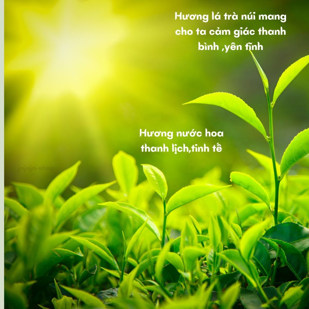 Nước hoa,SIANOAU,nước hoa nữ,nước hoa chiết,nước hoa nữ thơm lâu,nước hoa bỏ túi,nước hoa thơm lâu 24h,dung tích 30ml.
