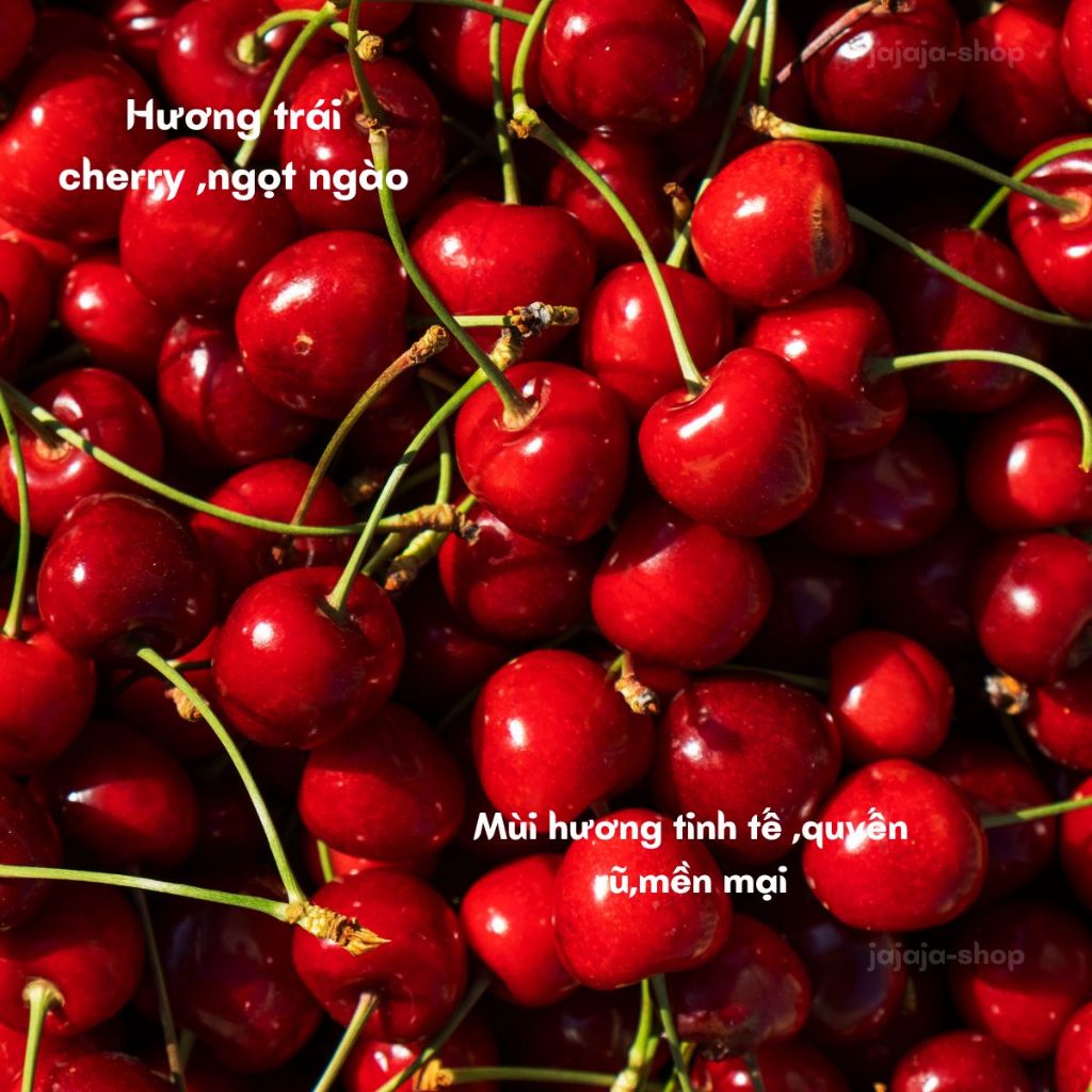 Nước hoa,SIANOAU,nước hoa nữ,nước hoa chiết,nước hoa nữ thơm lâu,nước hoa bỏ túi,nước hoa thơm lâu 24h,dung tích 30ml.