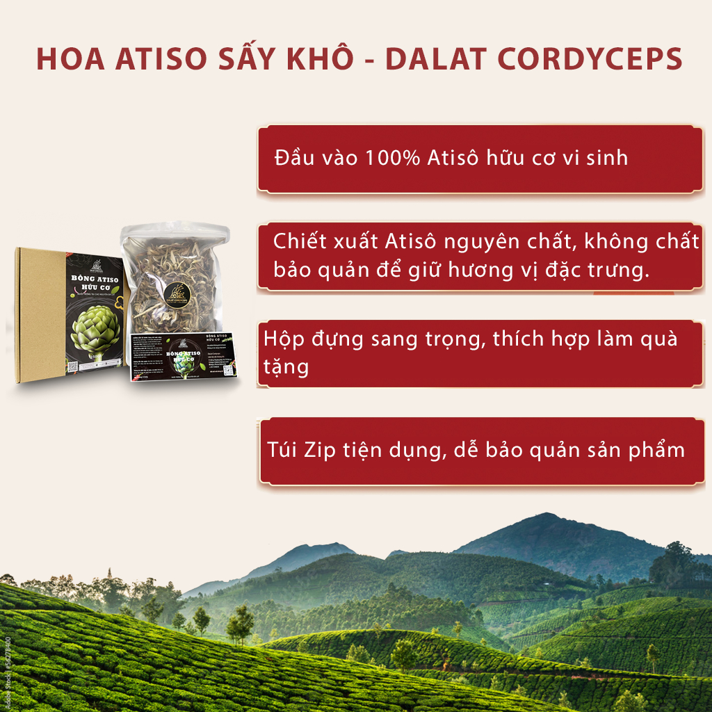 Trà bông atisô sấy khô - Dalat Cordyceps - hộp 250gr