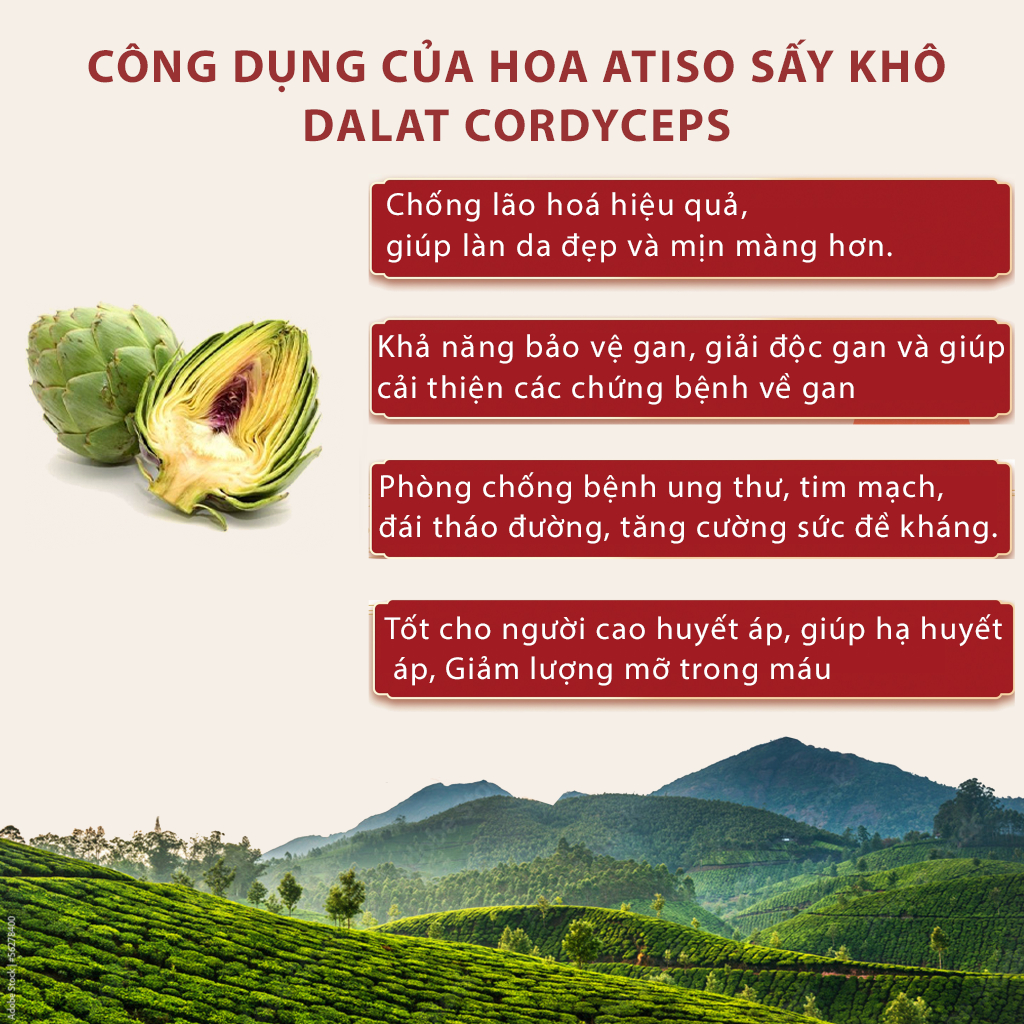 Trà bông atisô sấy khô - Dalat Cordyceps - hộp 250gr