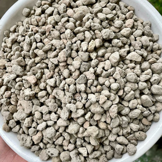 Đá Pumice rải mặt chậu, trộn đất trồng cây kiểng