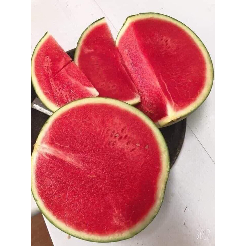 Dưa hấu không hạt