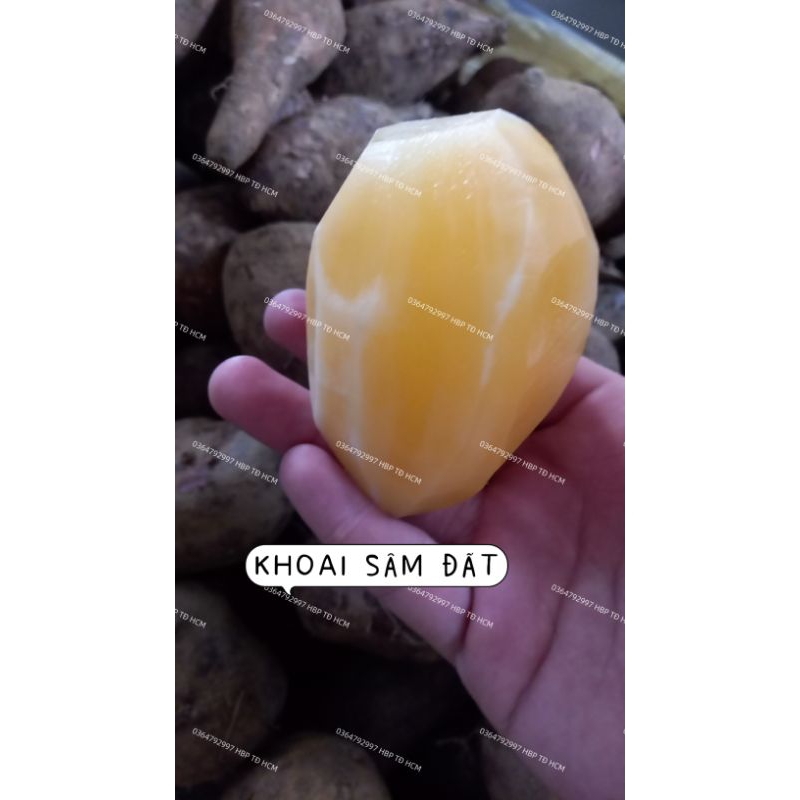 COMBO 4KG KHOAI SÂM ĐẤT VIỆT NAM