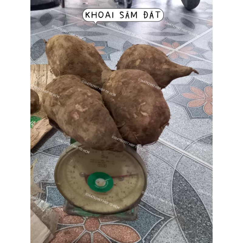 COMBO 4KG KHOAI SÂM ĐẤT VIỆT NAM