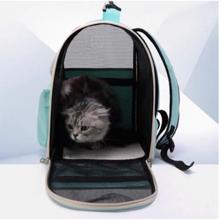 (HOẢ TỐC) Balo Vận Chuyển Thú Cưng Hello Cat