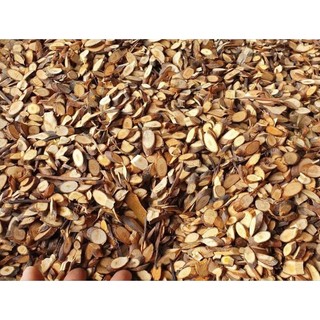 Quế chi / quế cành (500g-1kg - Quế thơm nồng, thái nhỏ, phơi khô tự nhiên