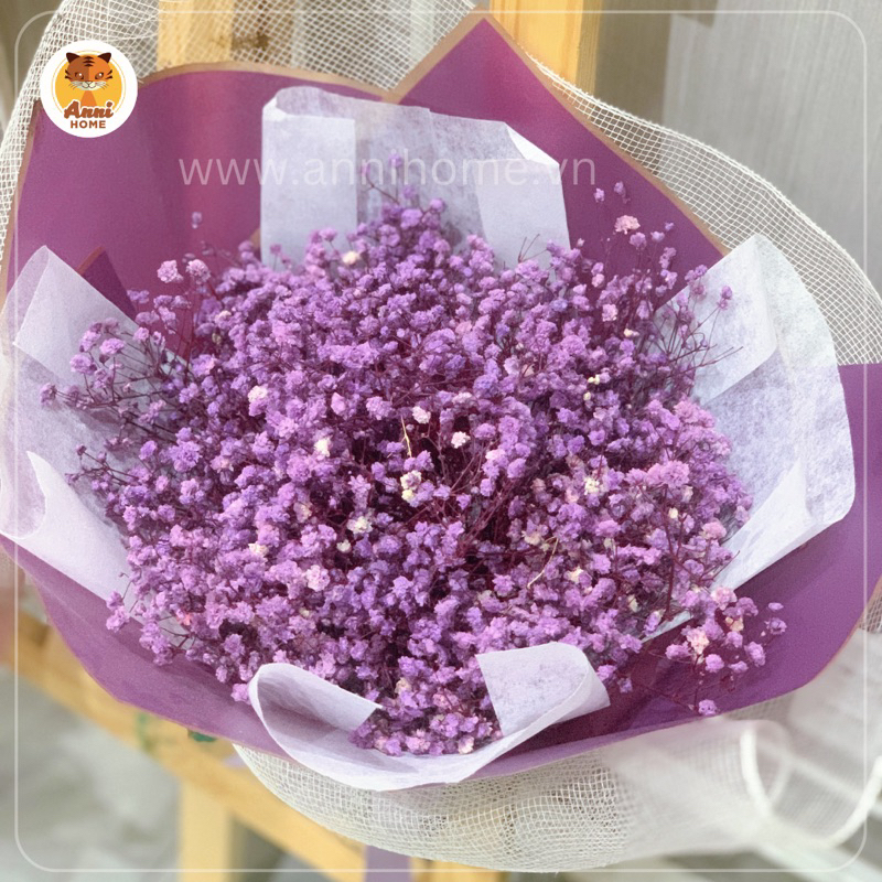Bó hoa khô baby size to