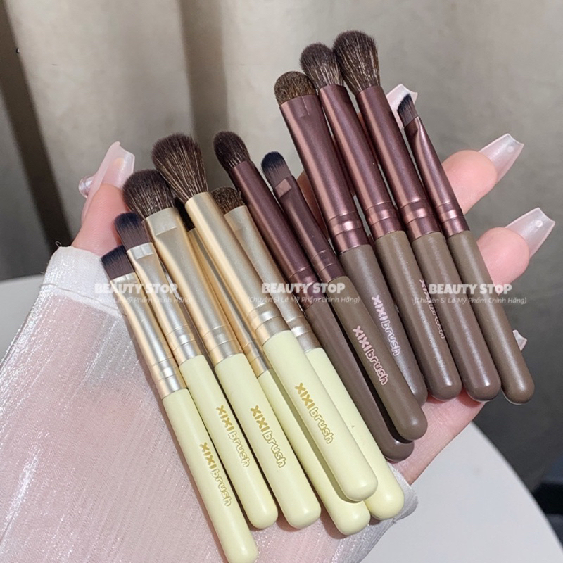 Bộ Cọ 6 Cây Trang Điểm Mắt Minisize Kèm Hộp Đựng XIXI Brush Set