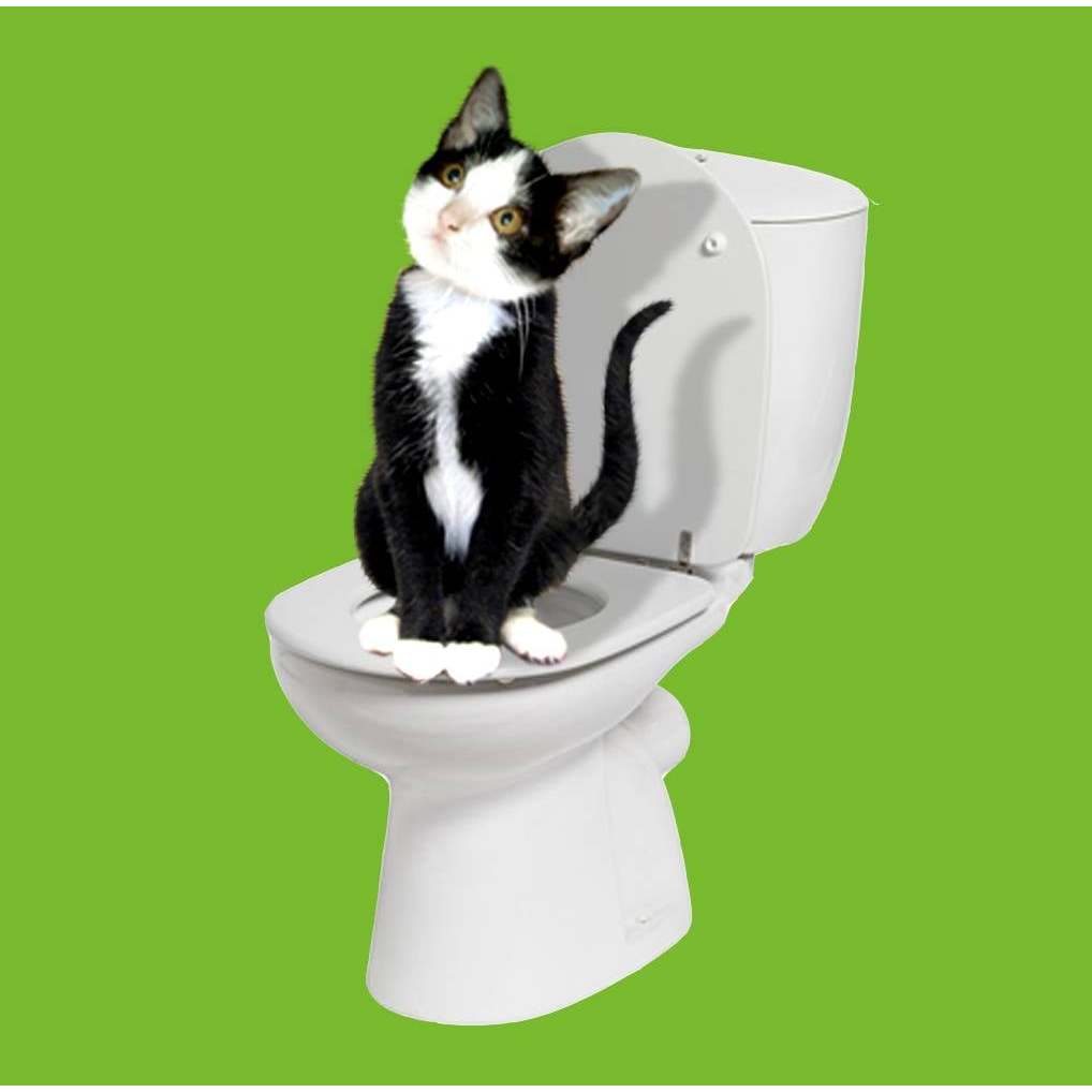 Khay huấn luyện mèo đi vệ sinh bồn cầu Pro-CityCat