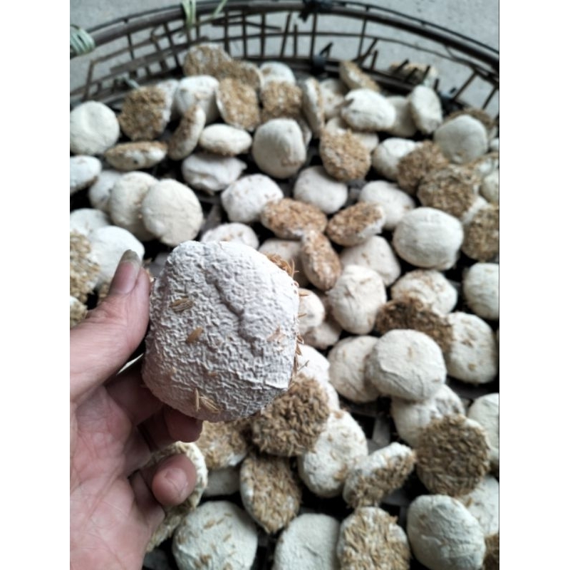 Rươu Sim ngâm đường phèn. 1lít.êm thơm ngọt hậu.chất lượng. uy tín.