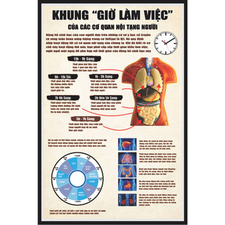 Tranh đông y 40x60 ( tổng 3 tranh )