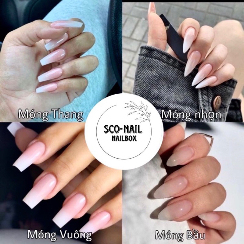 A8  NAIL BOX SƠN GEL MẮT MÈO KIM CƯƠNG