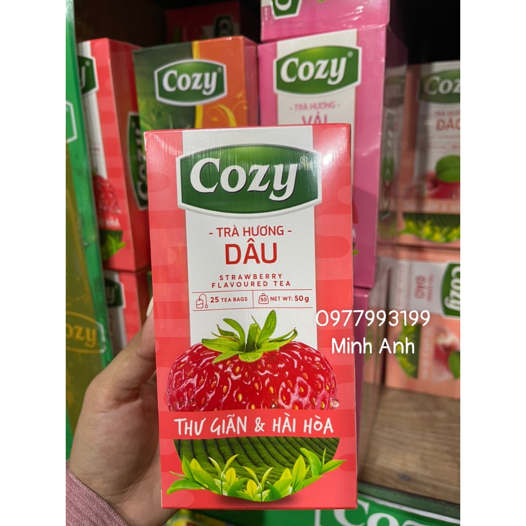 Trà Cozy Túi Lọc Đủ Loại 40G
