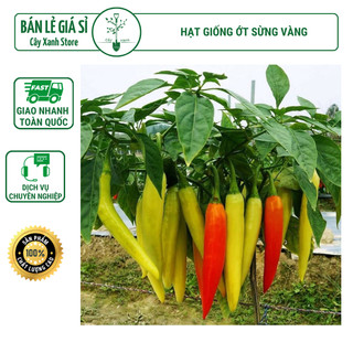 Hạt giống ớt sừng vàng phú nông 0,1g