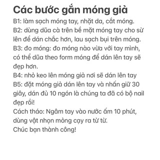 Nail box chân đính đá và hoa bột bộ 24 móng đủ size