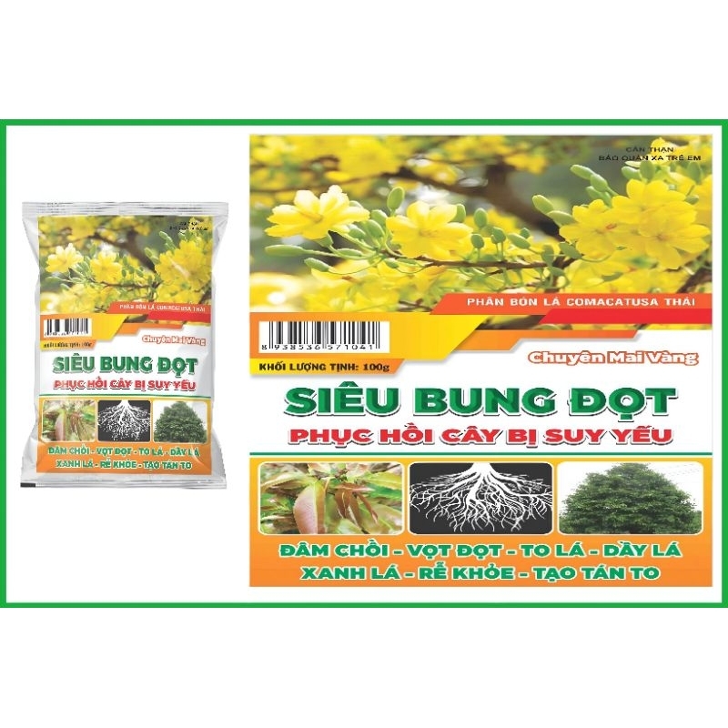 Siêu Bung Đọt Mai