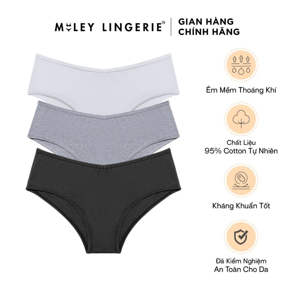Bộ 3 Quần Lót Nữ Cotton Tự Nhiên BeingMe Miley Lingerie - FCS1126-1116-0206