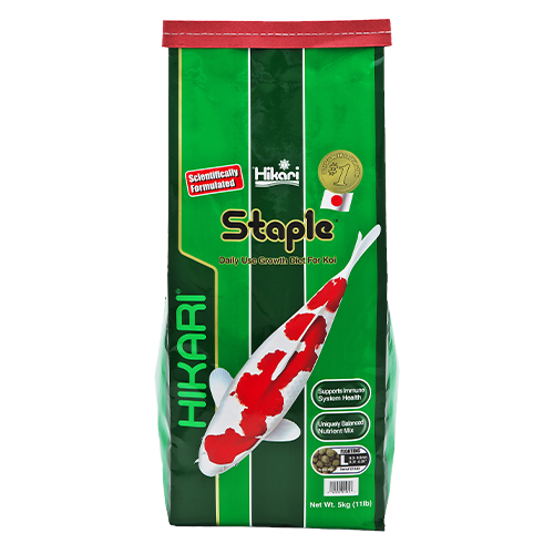 Cám cho cá koi Hikari Staple