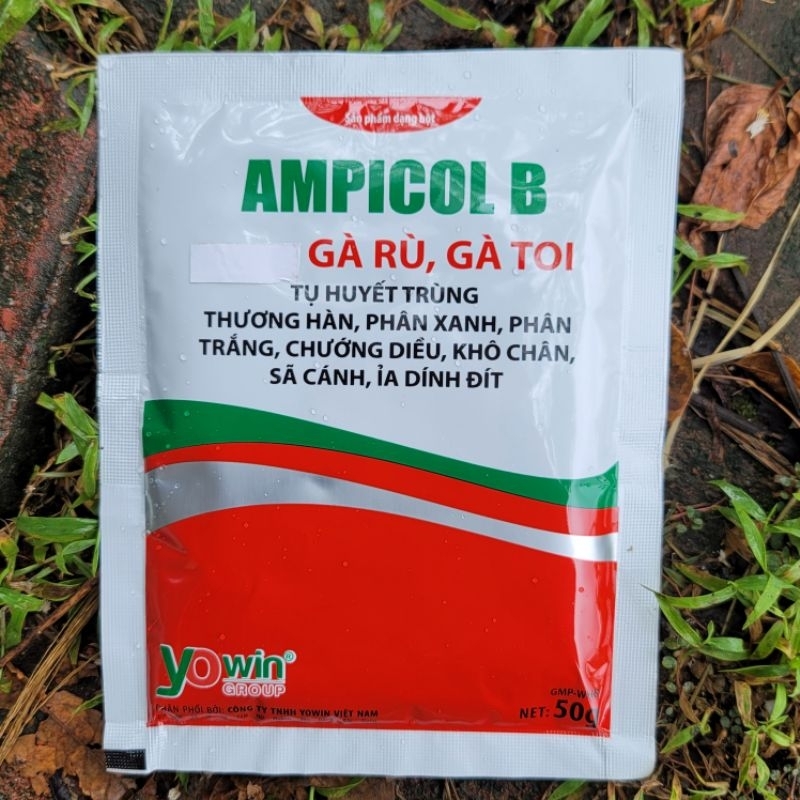 Gói Ampicol B gà rù gà toi, tụ huyết trùng, chướng diều, khô chân, phân xanh, phân trắng dùng cho thú cưng