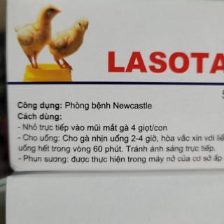 [Thú Y] LASOTA chịu nhiệt