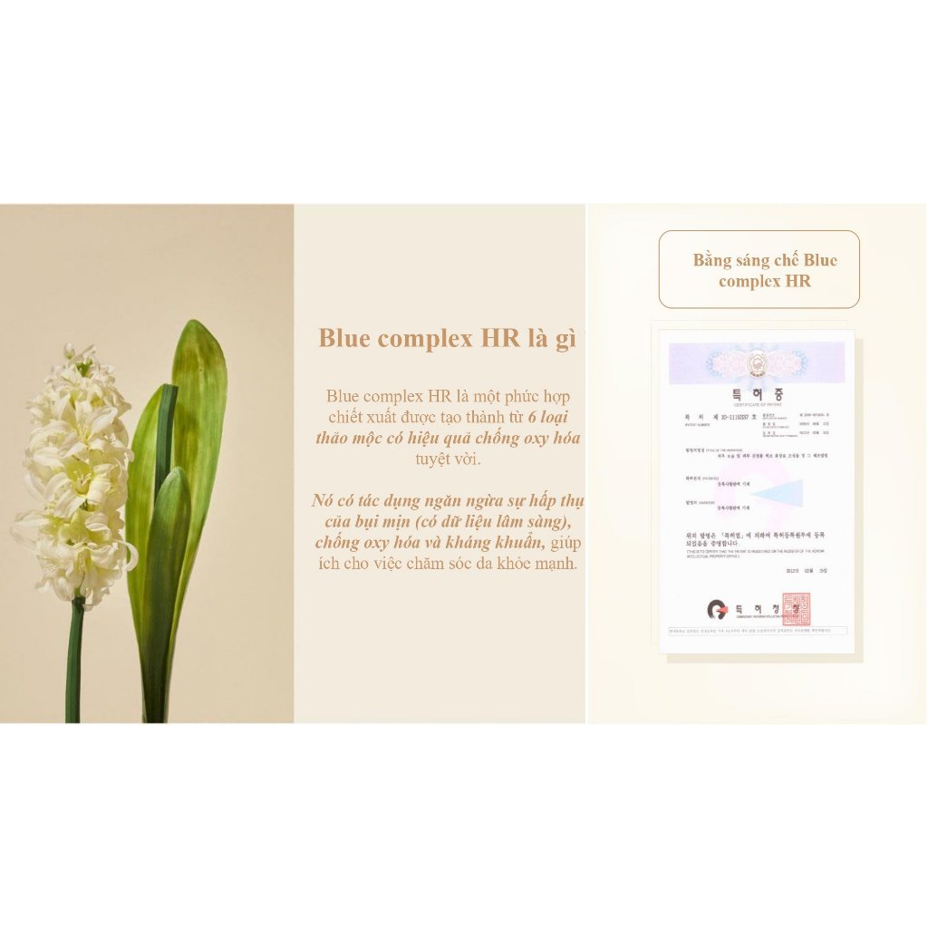 Kem Chống Nắng Nâng Tone Moaleaf