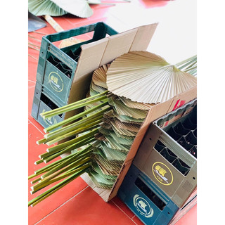 combo 5 lá cọ cắt tỉa