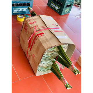 combo 5 lá cọ cắt tỉa