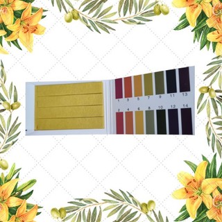 Giấy quỳ tím, thử ph của nước, ph mỹ phẩm... gói 80 tờ
