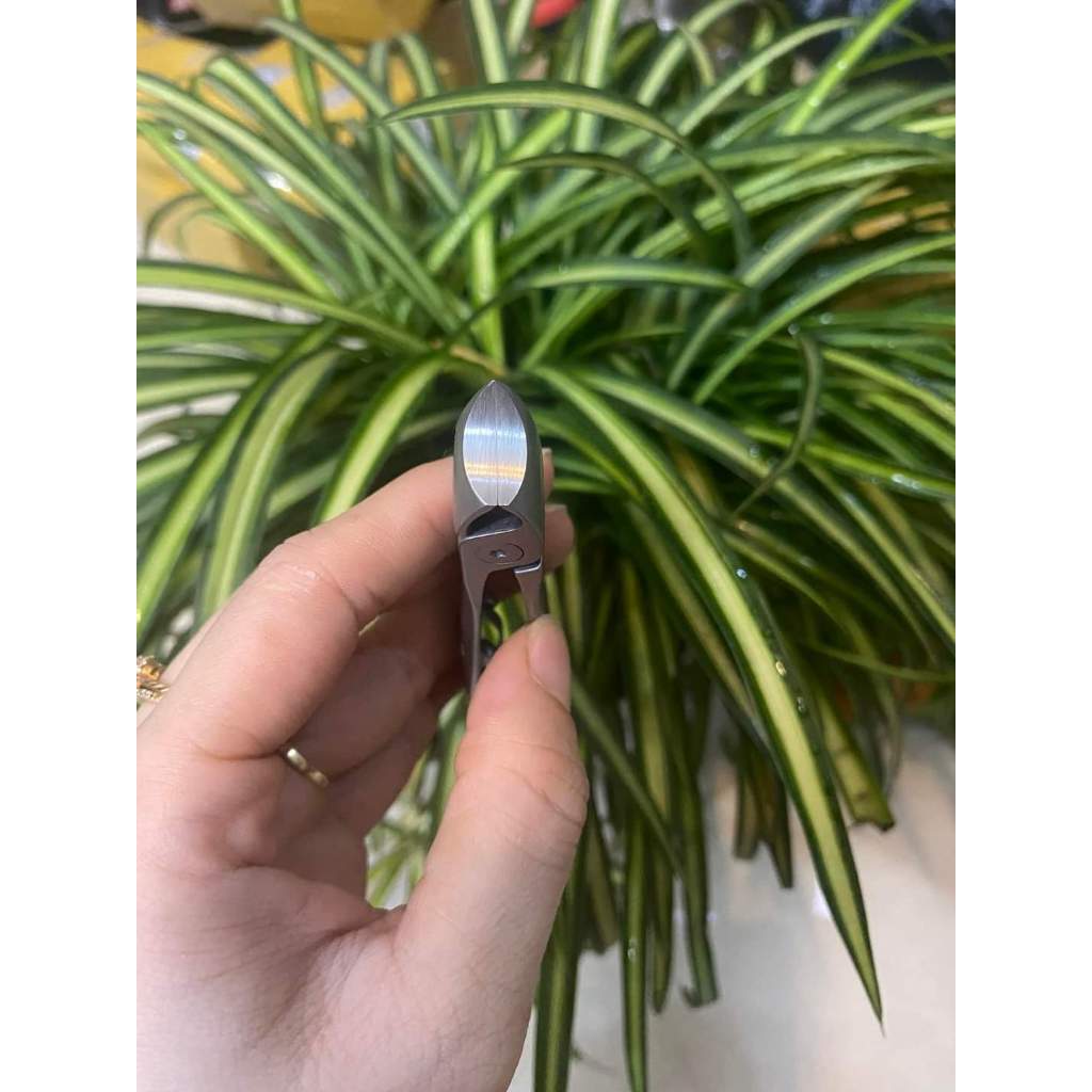 Bấm móng tay Đức zwiling