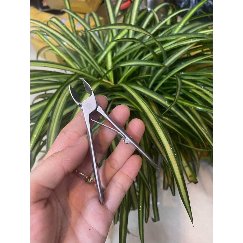 Bấm móng tay Đức zwiling