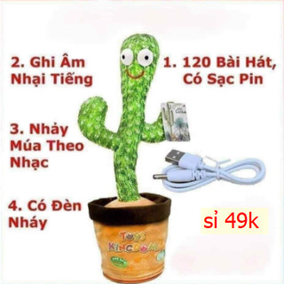 Đồ chơi Xương rồng biết hát