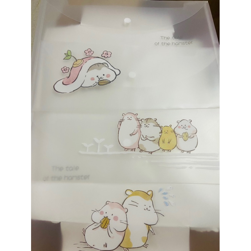 Bìa nút F4 cute- hình ngẫu nhiên