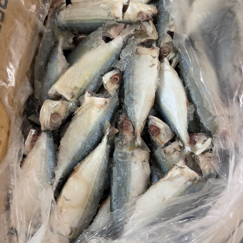 Cá bạc Má tươi ngon làm sạch cấp đông 1kg