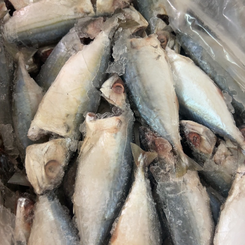 Cá bạc Má tươi ngon làm sạch cấp đông 1kg