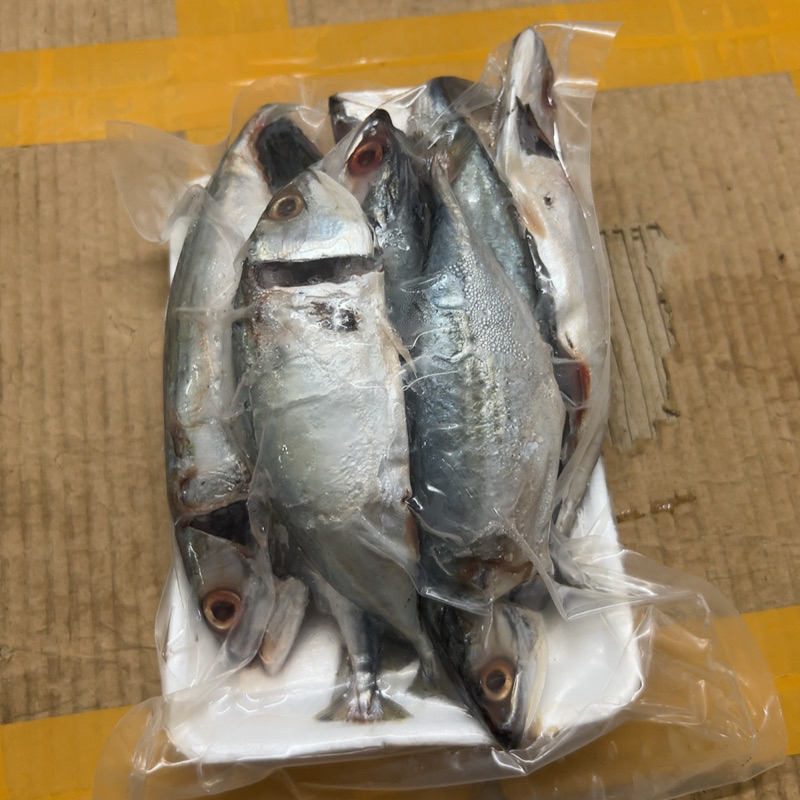 Cá bạc Má tươi ngon làm sạch cấp đông 1kg