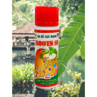 Phân bón ra rễ cực mạnh root 95 - ống 20ml