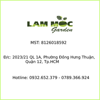 Phân bón ra rễ cực mạnh Root 95 - Ống 20mL