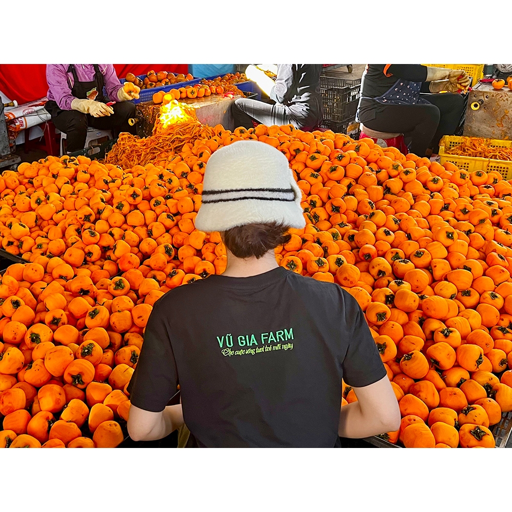 VG FARM Hồng Treo Gió Kem Vip  Đà Lạt - đặc sản mùa thu Đà Lạt